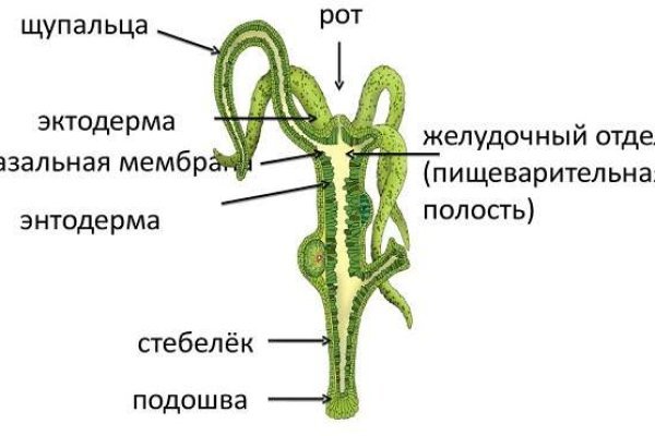 Ссылки даркнет