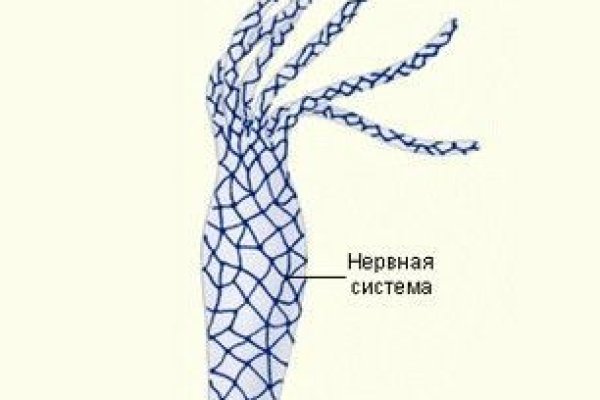 Kraken ссылка kraken014 com