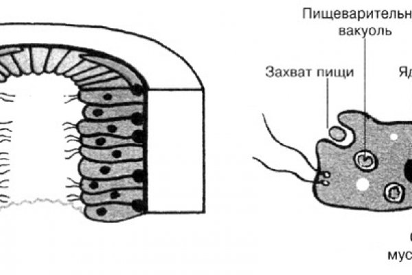 Kra32.cc