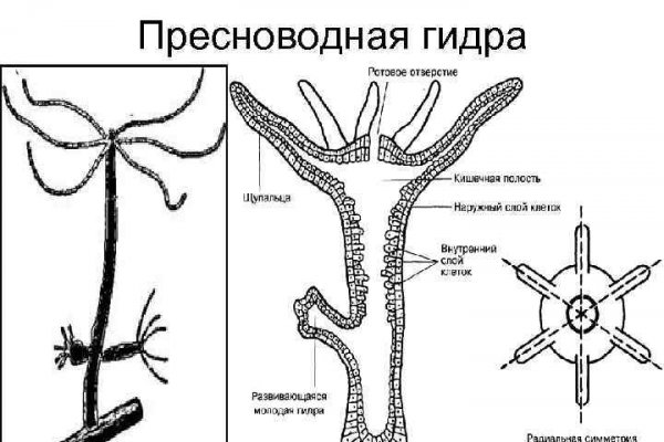 Правильная ссылка на кракен