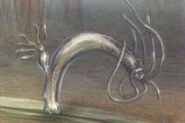 Kra32.cc